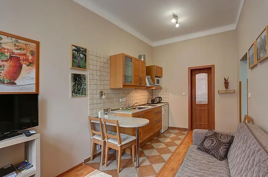 Karlovy Vary Zamecky Vrch Apartment Karlovy Vary