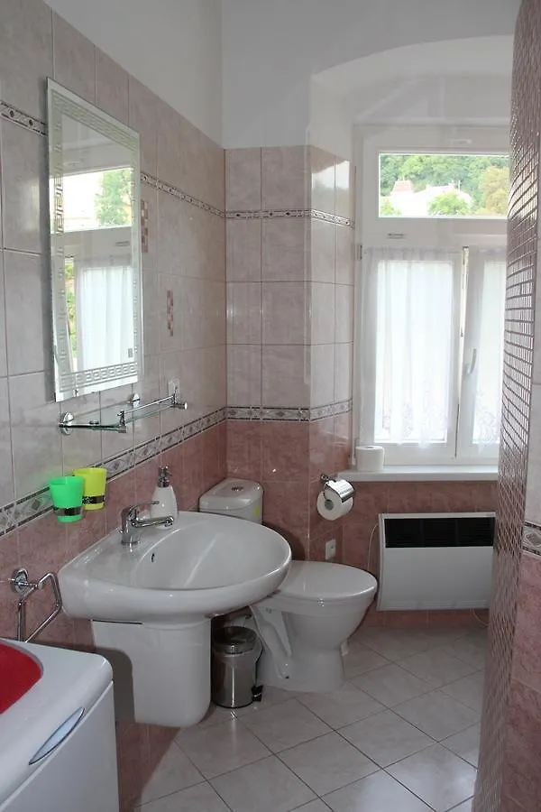 Karlovy Vary Zamecky Vrch Apartment Karlovy Vary